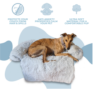 COZY BED™ - Official Calming Furniture Protector Bed